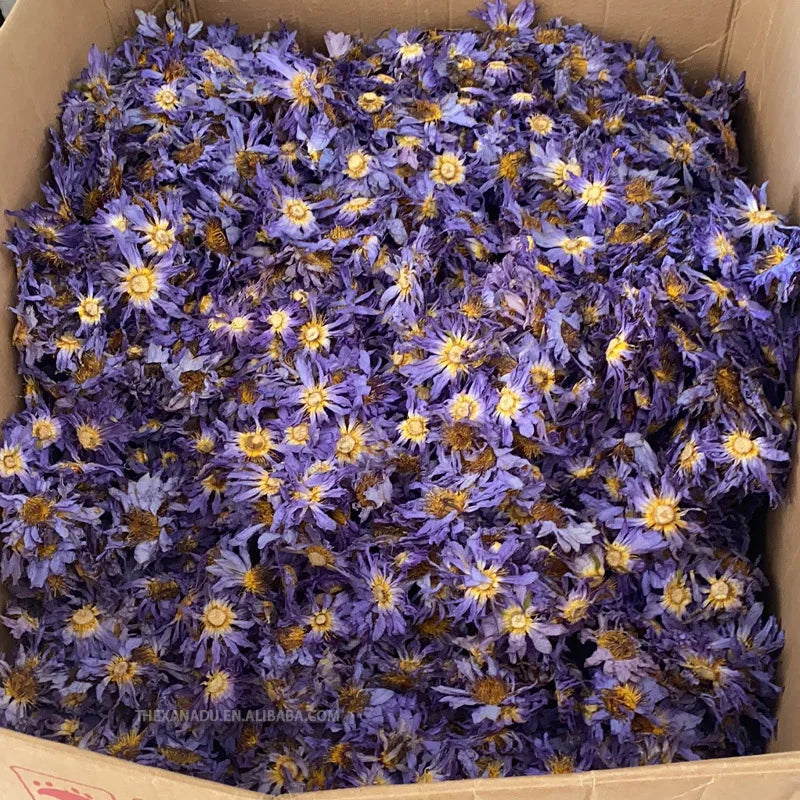 EU Market Compliance Wholesale Dried Lotus Flowers Tea Egyptian Beautiful Nymphaea Caerulea Organic Relaxing Herb Tea Bulk Pack