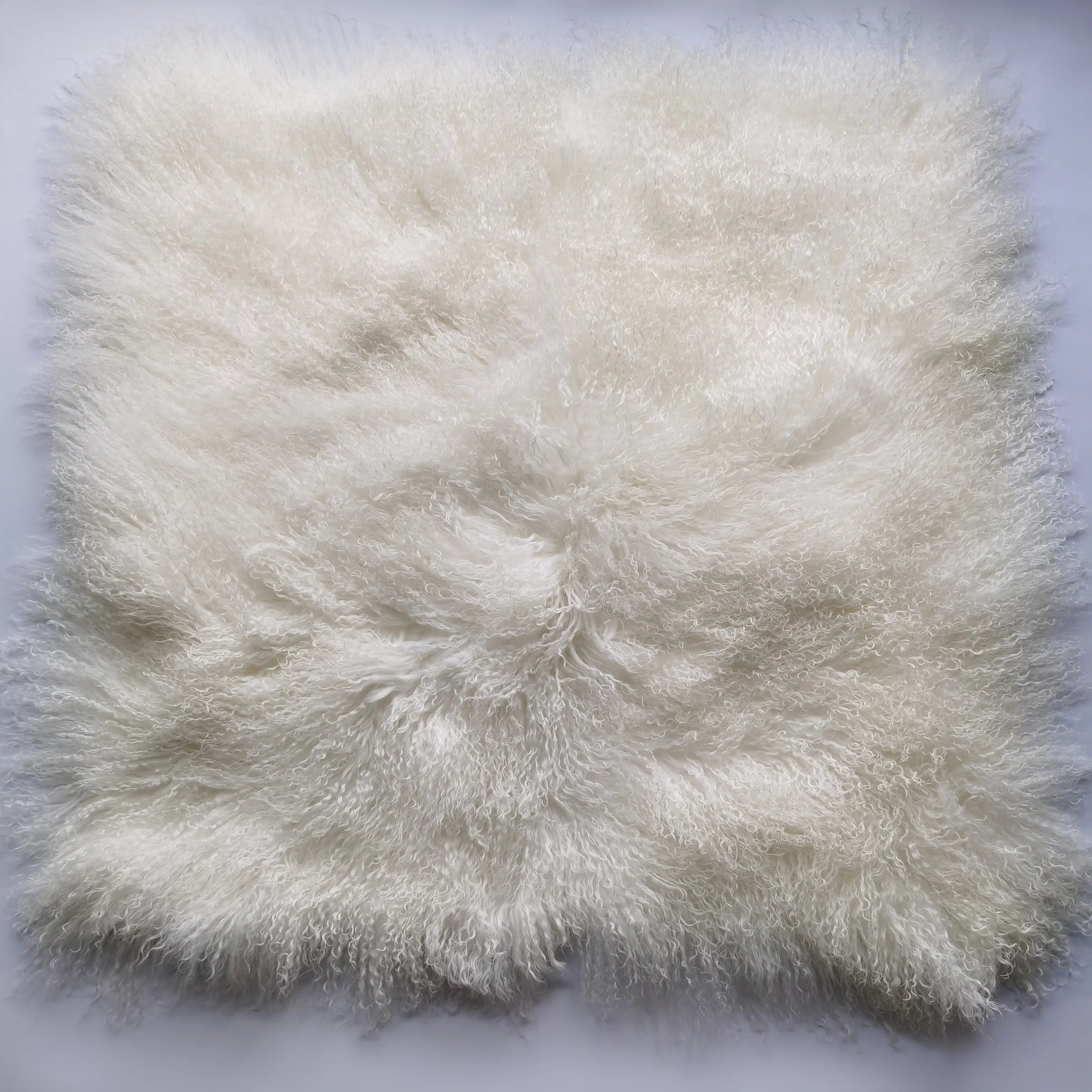 Real Mongolian Sheepskin Square Plate Modern Home Use High Pile Thick Durable Environmental Protection Wholesale Price