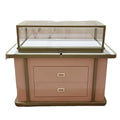 Customized Jewelry showcase Free-standing Jewelry showcase for Jewelry Store Showroom New Design Display case for Necklaces