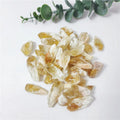 1-2 Inch Miraculous Citrine Jagged Healing Energy Crystal Tooth Light Citrine for Pendants