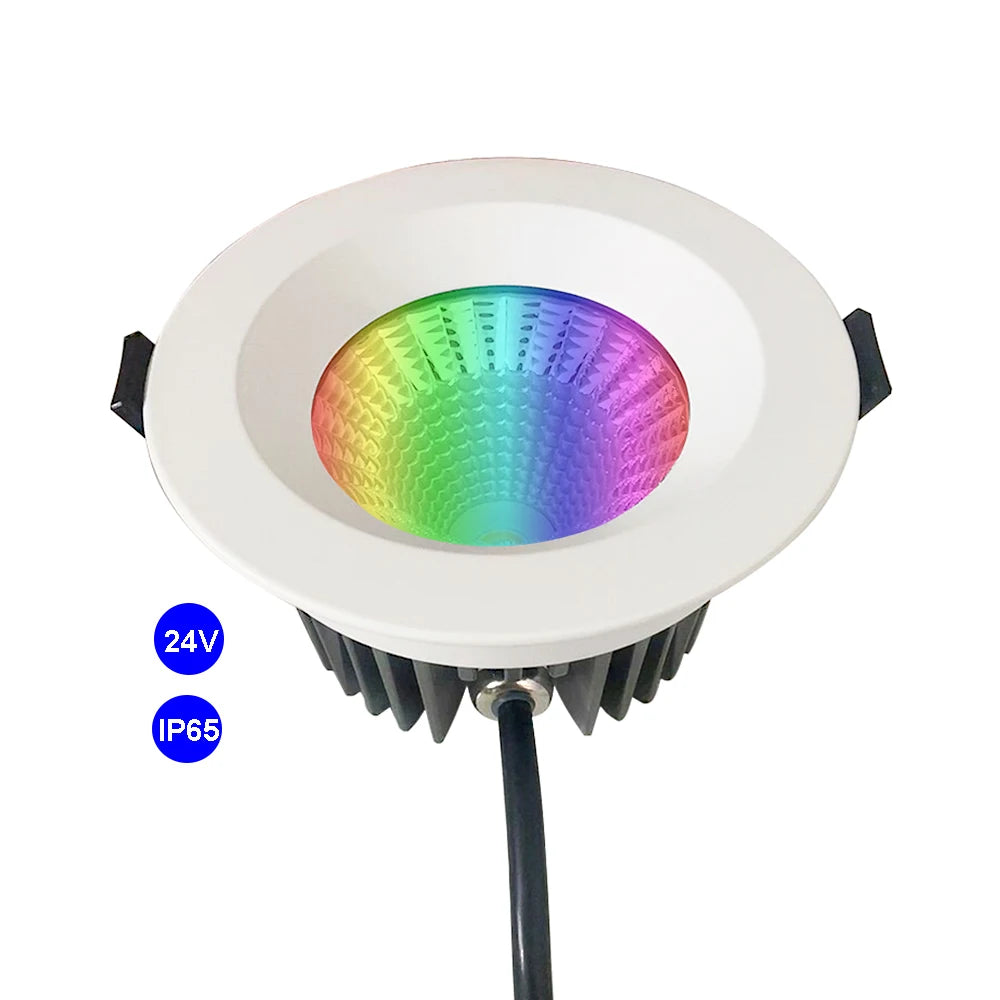 Benory 24V RGBW 2700K 12W IP65 Downlight DALI DT8 KNX Loxone Tunable White 2000-6000K CCT Adjustable Tuya Smart Led Downlight