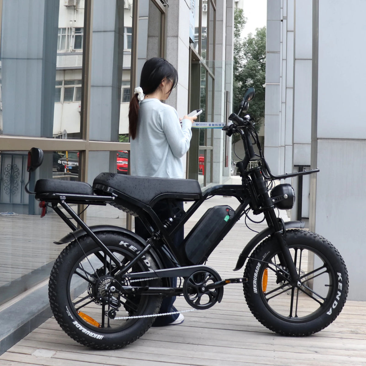 VOMO X80 Pro Fatbike Electric Bike 250W 48V Brushless Motor 7-Speed Steel Frame City Bike