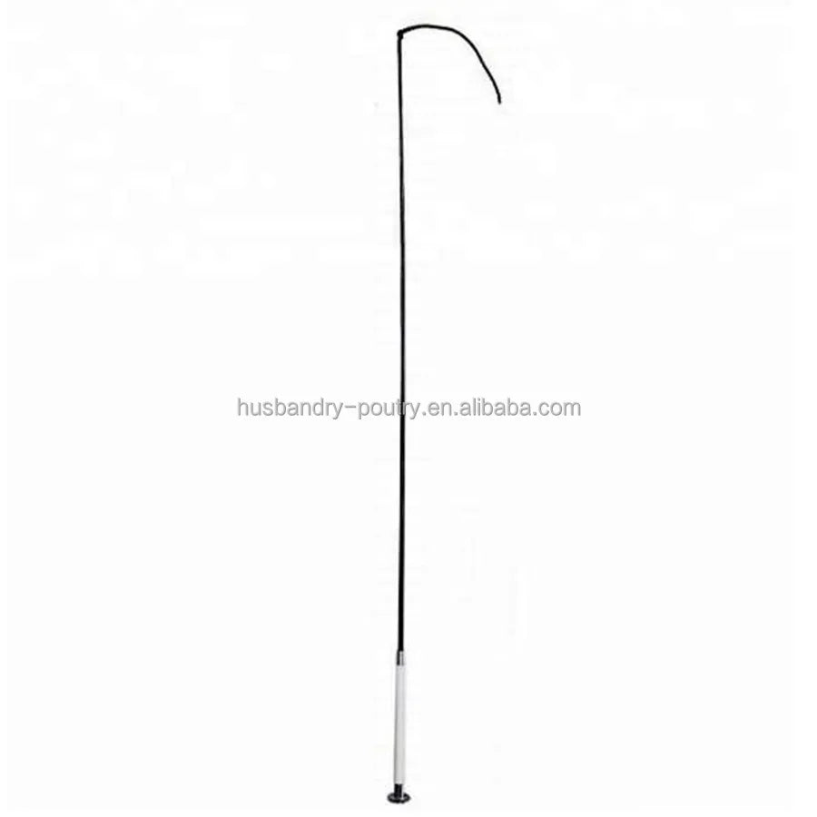 Horse Whip Dressage Whip Animal Whip Training