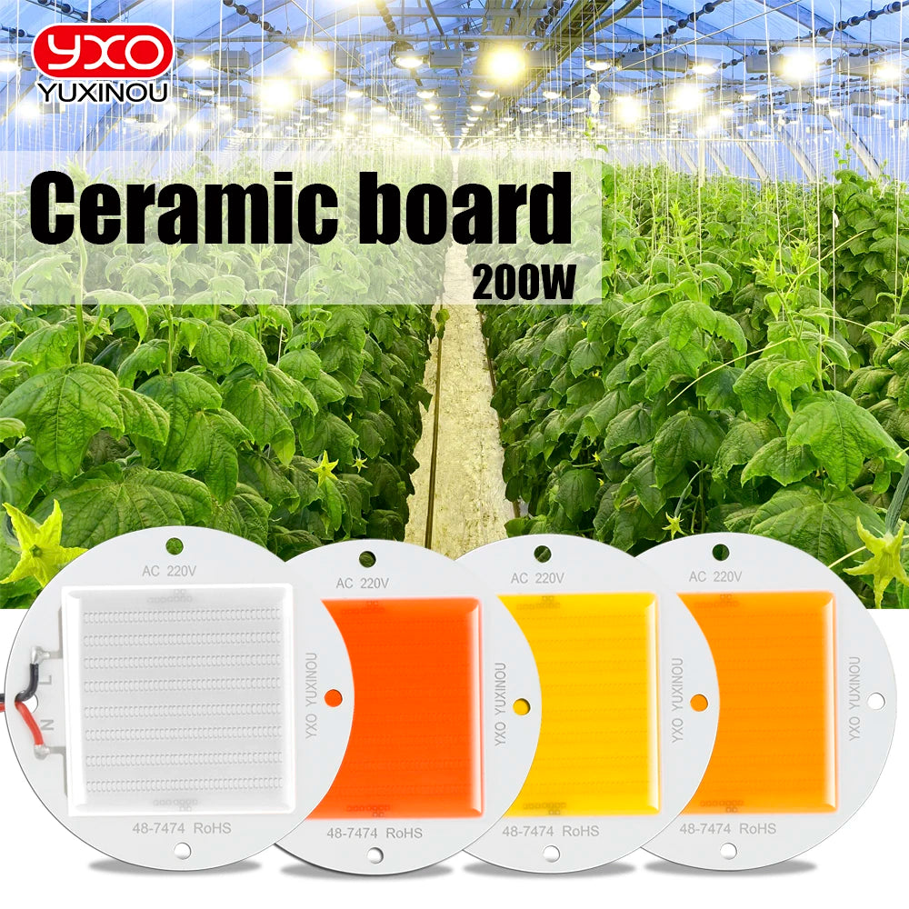 High Lumen 130LM Driver IC Led Chip Ceramic Overheat Protection Full Spectrum AC 200w Led Chip With NTC Sensor