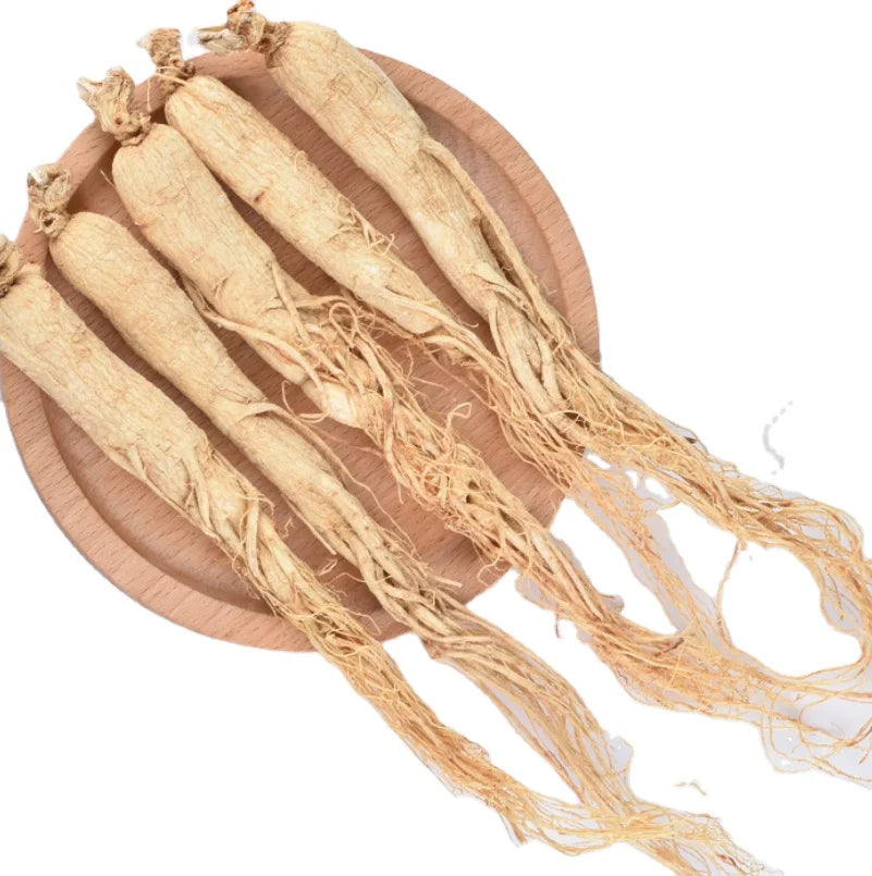 1KG Natural Tastes Dried New Harvested Gingseng Root with Prices Ginseng Roots for Sale