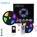 2835 12V China Wholesale Colored Led Light Kit Christmas Decoration Tape Luces Led RGB Waterproof Led Lights StripLighting Led