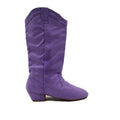 Suede Sole Women's Latin Dance Boots Long Warm-Up Line Salsa Shoes West Coast Swing Swayd Dance Boots