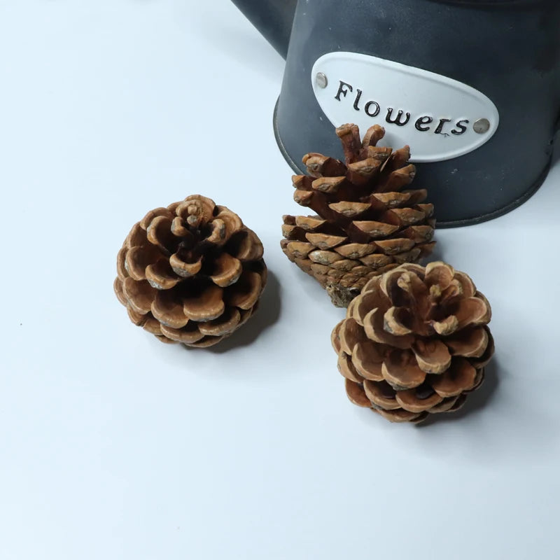 2025 Hot Sale Combination Dry Pine Cones  Exquisite Indoor Christmas Natural  Ornaments for Home
