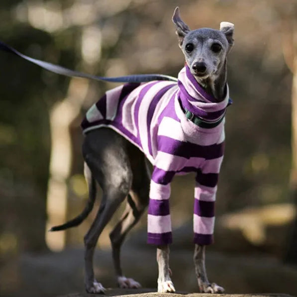 S~5XL Warm Cute Dog Puppy Breathable Apparel Dog Clothes
