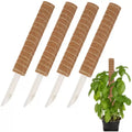 Wholesale Plastic Oriental Totem Moss Sticks Indoor Plant Support to Grow Upwards for Moss Pole Plant Flower Pots & Planters
