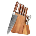 XINZUO Professional Kitchen Knife Set Damascus Steel with Desert Iron Wood Handle