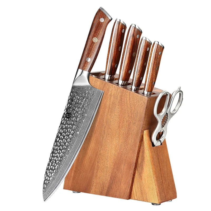 XINZUO Professional Kitchen Knife Set Damascus Steel with Desert Iron Wood Handle