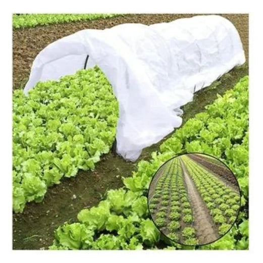 Reasonable Price Plant Protector Cover Spunbond Non Woven Agriculture Plant Cover Frost Protection Nonwovens