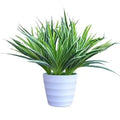 Nomoy Pet Wholesale High Quality Lifelike Silk Simulation Plant for Reptile Aquarium Decoration Graduation & Father's Day Gift