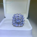 New Arrival Silver 925 Original Brilliant Radiant Cut 1-3 Carat Diamond Test Past D Color Moissanite Ring Real Gemstone Jewelry