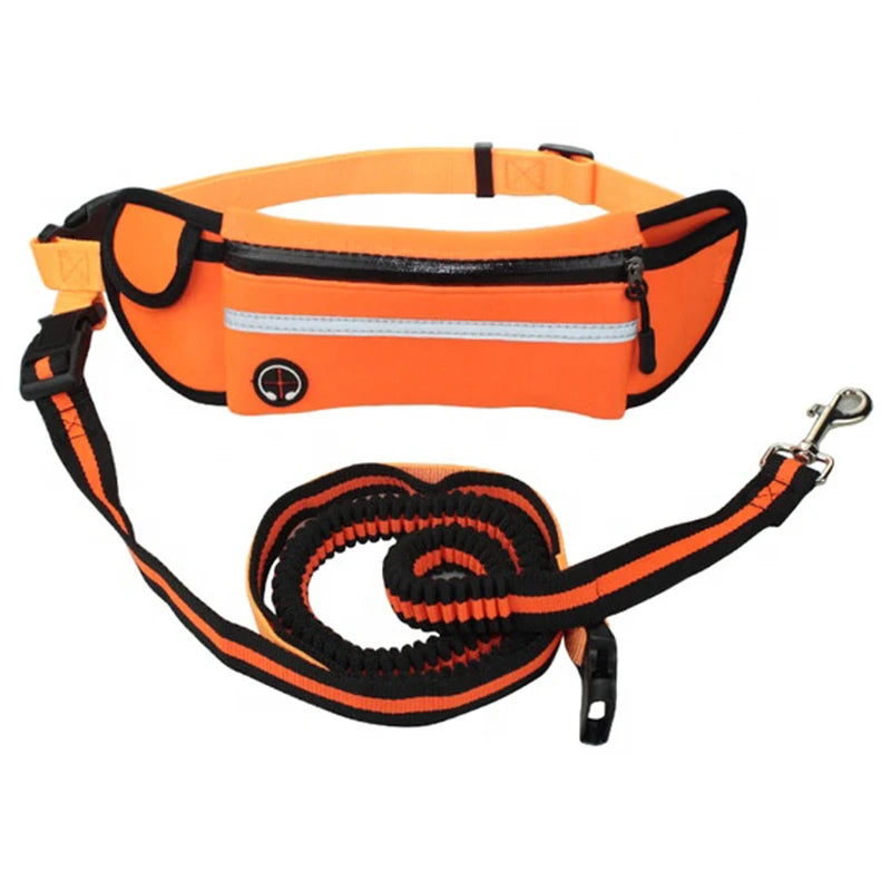 Multi Function Running Retractable Rope Waist Bag Leash Reflective Adjustable Walking Belt Bungee Hands Free Dog Leash