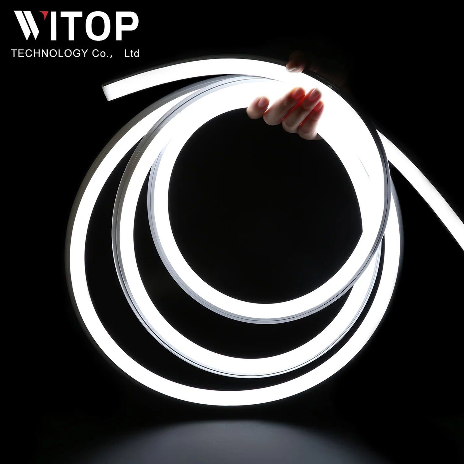 High Lumen SMD2835 Strip Lighting LED Neon Flex 24V 16x16 Waterproof