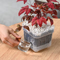 Decorative Square 4.7 6.3 Inch Plastic Water Storage Plant Flower Pot with Saucer
