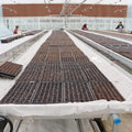 Seedbed Bench Wire Mesh Hot-galvanized Mesh For Greenhouse