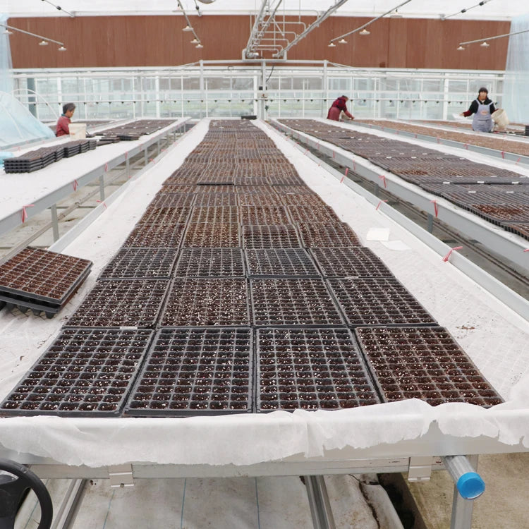Seedbed Bench Wire Mesh Hot-galvanized Mesh For Greenhouse