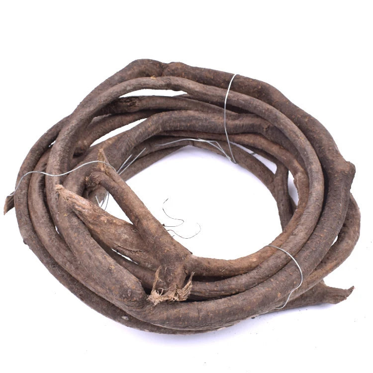 Old Tree Vines and Water Free Vines Are Used for DIY Home Walls Gardens Offices and Garden Decorations