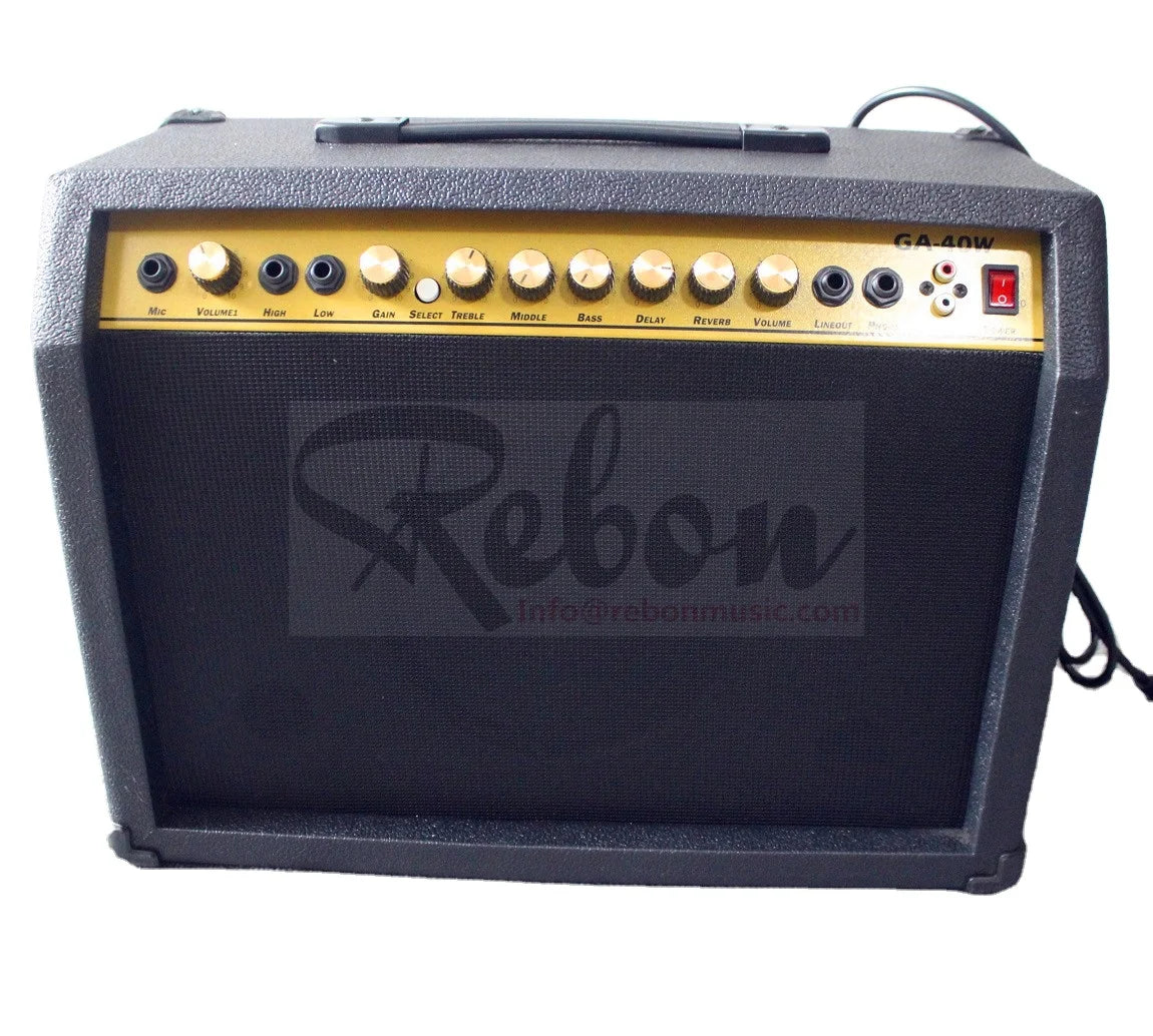 Weifang Rebon 40 Watt Electric Guitar/Guitar  Amplifier/Speaker