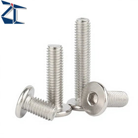 ZCBSTSR Special Stainless Steel Ultra Low Head Hexagon Socket Cap Screw Other Hardware Fasteners