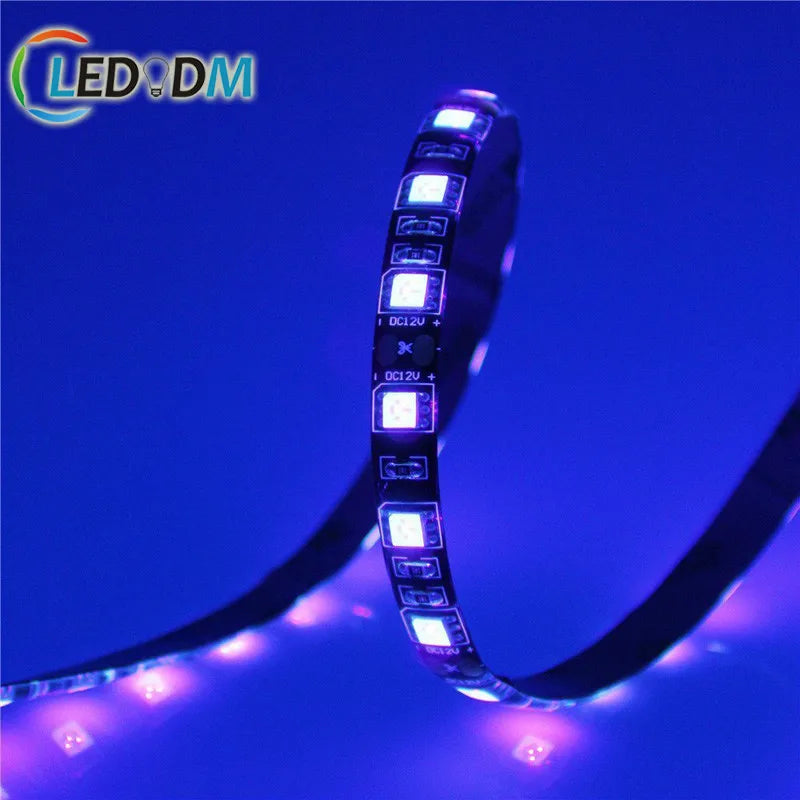 UV Non-Waterproof DC12V 24V Blacklight 390nm to 400nm 14w/m SMD5050 3838 60LEDs/m UV UVC LED Strip