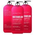LovelyCSM Red Argan Oil Hair Mask Hair Fall Shampoo Set Repair Tea Tree Oil  Watermelon Anti Hair Loss Shampoo and Conditioner
