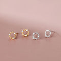 2024 Newest Style Inlaid Zircon Flower Wreath S925 Sterling Silver Stud Earrings for Women Jewelry Accessories YB-XY-056