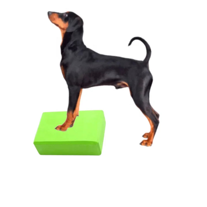 USMILEPET Direct Factory Dog Exercise Balance Disc Custom SAP Weight EVA & PC Material Strength & Endurance Training Tool