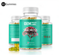 OEM Private Label Vitamin Supplement Sea Moss Gummies Kids Sea Moss Gummy Candy Bladderwrack