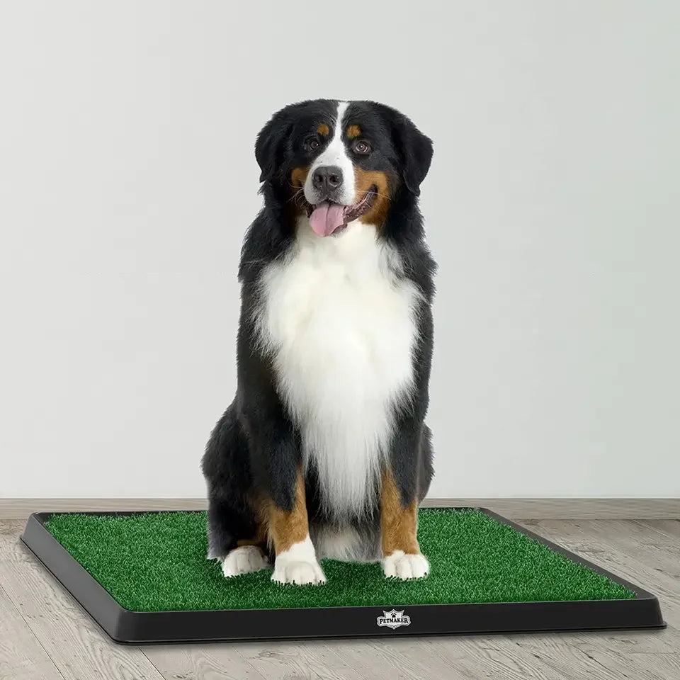 Kingtale Pet Supplies Grass Bathroom Mat for Puppies and Small Pets  Portable Potty Trainer for Indoor and Outdoor