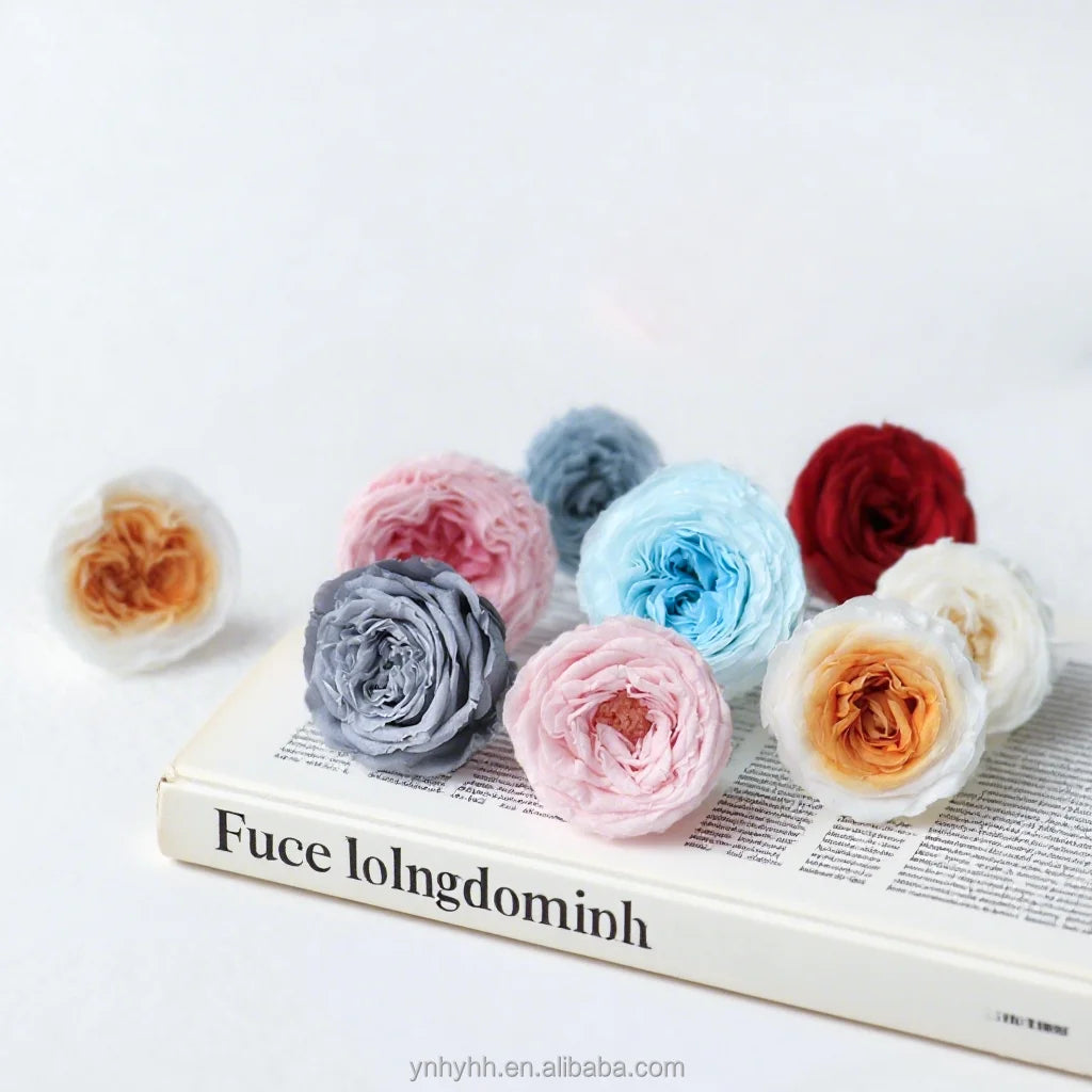 Hot Sale a Grade 2-3cm Eternal Forever Austin Flower Preserved Roses Head for DIY Home Wedding Christmas Crafts  Decoration