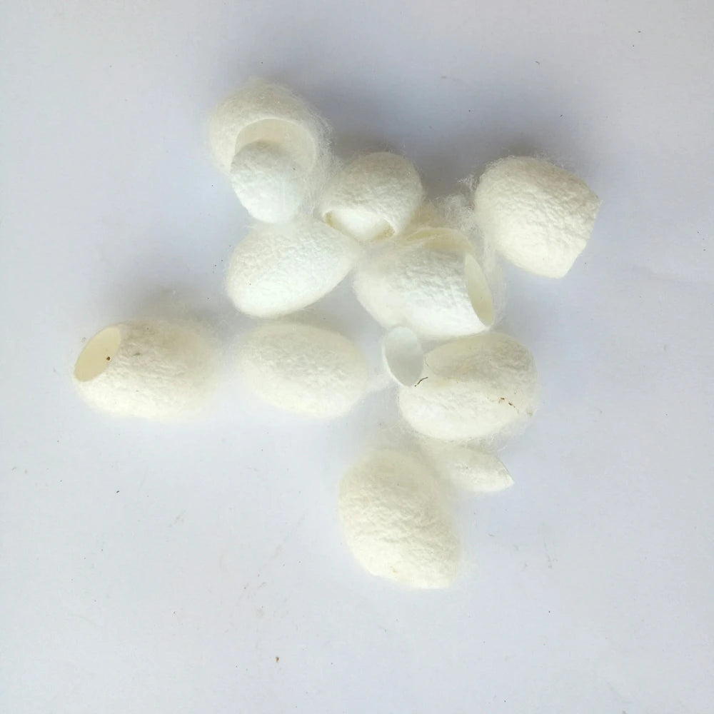 Can Jian Whole Dried Natural Herb Silk Cocoon for Sale