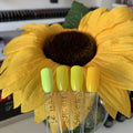Mixcoco Hot Selling Mustard Yellow Youth Series 15ml UV Gel Polish with Vibrant Color and High Gloss Finish