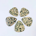 DIY Custom Dalmatian Jasper Guitar Accessories Picks