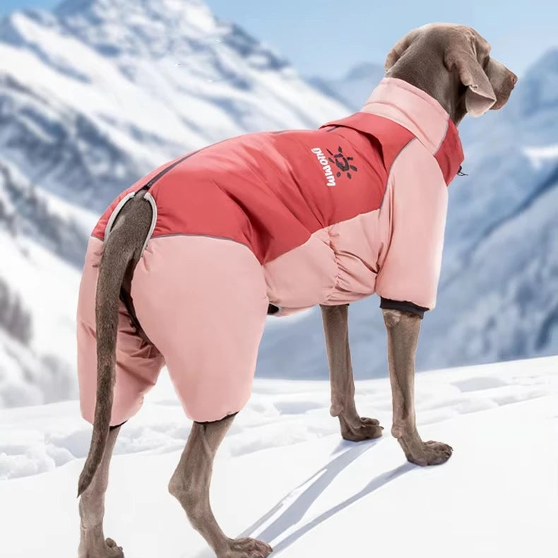New Dog Four Leg Outfit Winter Dog Cotton Coat Warm Thickened Large Dog Waterproof Pet Clothes