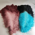 70-75cm Dyed Wedding Ostrich Feathers Long for Centerpieces
