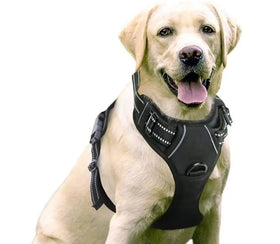 Custom Large Small Adjustable Dog Harness No-Pull No Pull Pet Leash Dog Harness Set