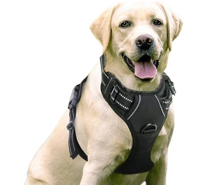 Custom Large Small Adjustable Dog Harness No-Pull No Pull Pet Leash Dog Harness Set