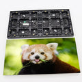 P2.5 128x64 Full Color SMD Indoor Digital Advertising LED Display Module with 800CD Brightness and 2 Year Warranty