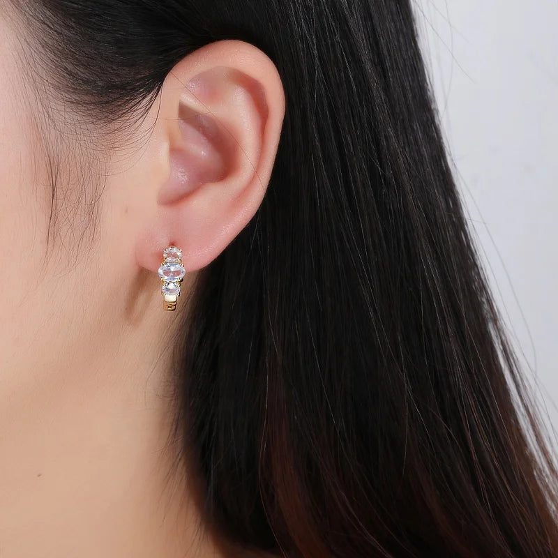 Oro Sophisticated 18K Laminated Gold Plated Brass Hoop Earrings With Cubic Zirconia Earrings Women