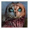 Ever Moment Owl Diamond Painting Animal Full Square Drill 3F011