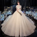 Star Main Wedding Dress New Style Bride Trailing Super Fairy Dream Wedding Dress Free Veil Hand Dress Lining