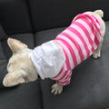 S~4XL Wholesale  Low Moq Striped Animal Cat Pet Dog Hoodies