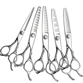 440C Silver Handle Beauty Professional Hair Cutting Thinning Scissors Set 5.5