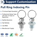 PANQI FD809 Stainless Steel/Carbon Steel Spring Indexing Plunger Hand-Retractable Pull Ring Fasteners Factory Price