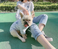 Summer Dog Cat T-shirt  Puppy and Parent Set with Striped Modal Cotton T-shirt for Small Dogs and Cats Two-legged Clothes
