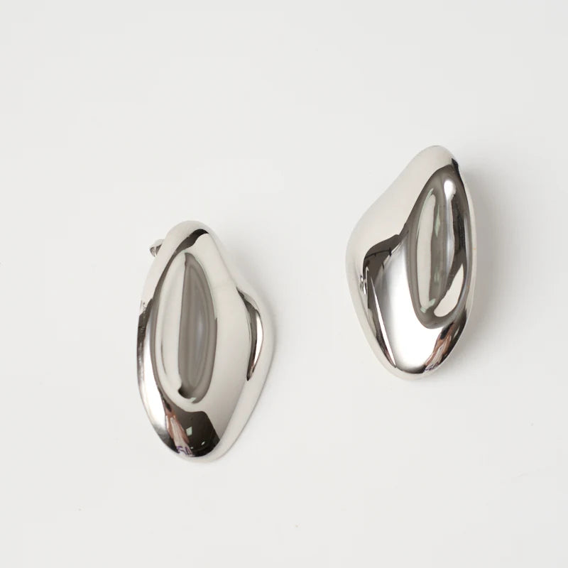 Fashion Simple Waterproof  Stainless Steel Silver Plating Irregular Earrings Dropship Accessories